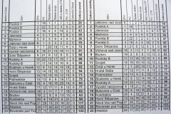 Plamen Nedaříž (15.07.2008)