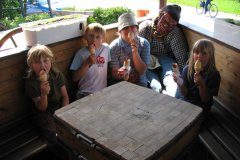 Plamen Nedaříž (15.07.2008)