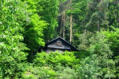 Výlet Trosky (31.05.2008)