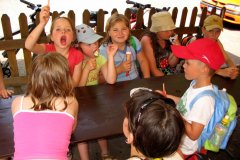 Výlet Trosky (31.05.2008)