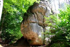 Výlet Trosky (31.05.2008)