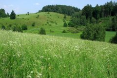 Výlet Trosky (31.05.2008)