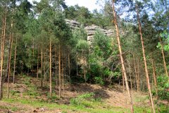 Výlet Trosky (31.05.2008)