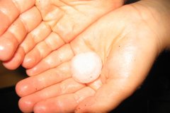 Opekání buřtů (26.05.2008)