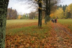 Paseky nad Jizerou (17.10.2008)